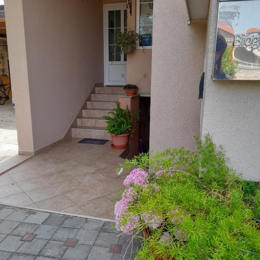 Apartments Filipovic Biograd Na Moru Exterior foto